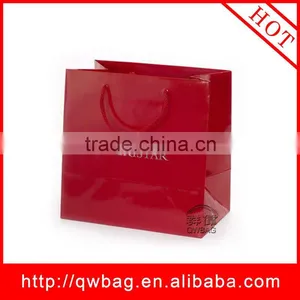 2011 the Fresh Color Fashional Paper Bag thumbnail-1