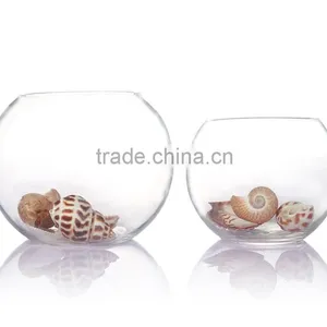 Wholesale Market Clear Glass Wide Mouth Vase Deocrative Novetly Glass Vase thumbnail-1