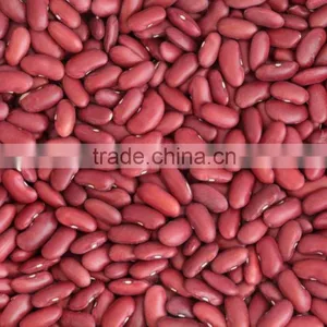 Kidney Bean thumbnail-1