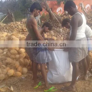 Delhi Coconuts thumbnail-2