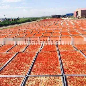 China Dried Fresh Goji Berry thumbnail-1