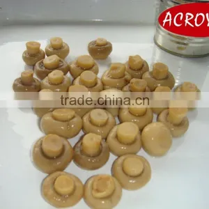 Chinese High Quality Canned Fresh Mushroom Whole thumbnail-3