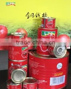 4.5KG High Quality Manufactory China Factory Canned Tomato Paste thumbnail-5