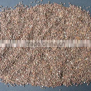 Brown Perilla Seeds Red Perilla thumbnail-5