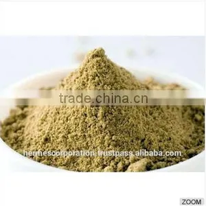 Best Quality Coriandrum Sativum Powder thumbnail-1