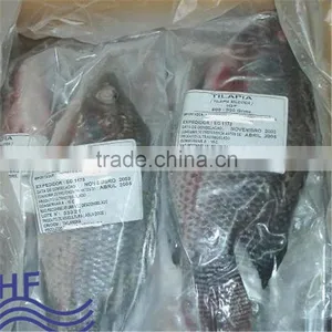 IQF W/R Tilapia Fish Price thumbnail-1