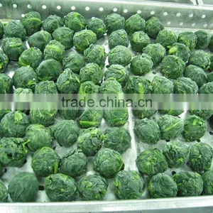 IQF Fresh Spinach thumbnail-3