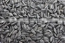 Bulk Buy Chinese Sunflower Seeds 5009 Sunflower Seeds thumbnail-2