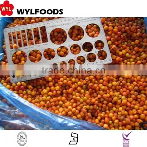 IQF China Price for Frozen Sea Buckthorn High Quality thumbnail-4