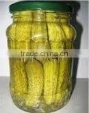 Pickled Baby Cucumber in Glass Jars thumbnail-1