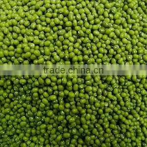 Hot Split Dried Green Mung Bean From Viet Nam Good Packaging thumbnail-1