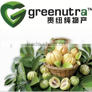 Garcinia Cambogia Extract,Garcinia Extract 60% Hydroxycitric Acid thumbnail-1