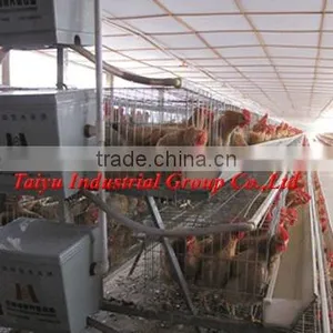 Laying Chicken Cage for Poultry Farm thumbnail-1