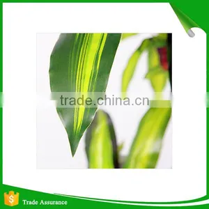 Real Touch Artificial Brazil Dracaena Decorative Silk Plant in Pot thumbnail-5