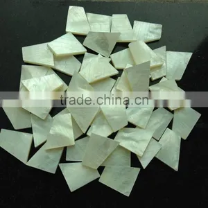 Random Cut White Lip Mother of Pearl Blanks for Inlay thumbnail-1
