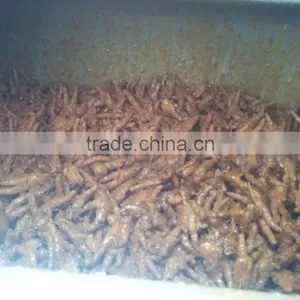 Best Quality Automatic Vacuum Tumbler/ Vacuum Tumbling Machine For Meat Processing thumbnail-3