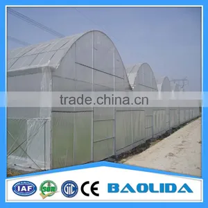 Multi-span Tunnelgreenhouse for Fruit thumbnail-5
