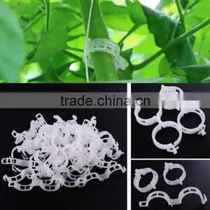 Hot Selling Clips for Tomatoes Plastic Clamps thumbnail-5