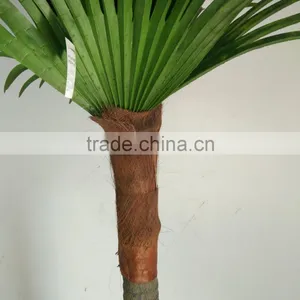 Big Fan Kwai Artificial Palm Tree thumbnail-5