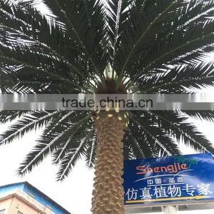 SJ7001027 Preserved Outdoor Plam Tree Leaf With UV Protection thumbnail-1