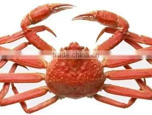 Snow Crab Legs thumbnail-4