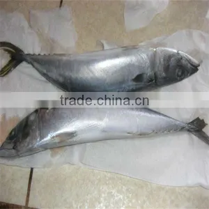 Sea Frozen Fish Food thumbnail-1
