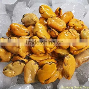 IQF Chair de Moules Bleues Congelees thumbnail-1