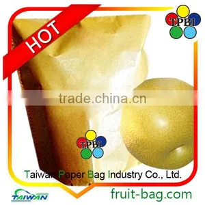 Protect Cover Pear Protection Paper Bag Fruit Protection Paper Bag thumbnail-1