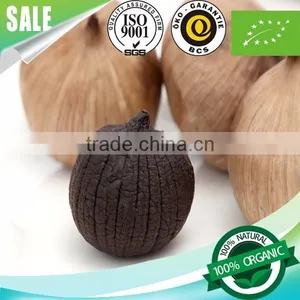 Healthy Natural Food Herb Solo Black Garlic 1 Bulb/bag thumbnail-2