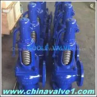 DIN Spring Loaded Pressure Safety Valve,900 thumbnail-3
