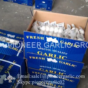 5-5.5cm Fresh Normal White Garlic In 10kg Carton Box Packing thumbnail-5