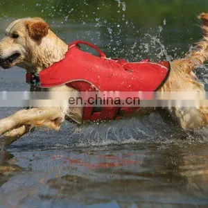 Dog Protective Vest thumbnail-1