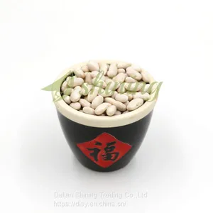 Chinese White Haricot Beans In Bulk thumbnail-1