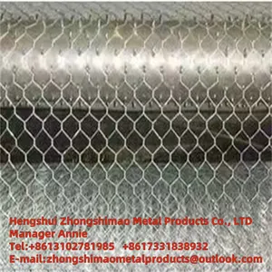 Hexagonal Wire Mesh/chicken Wire Mesh/protecting Wire Mesh/PVC Protective Layer/ Wire Mesh thumbnail-1