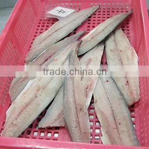 Spanish Mackerel Fillet and Scomberomorus Niphonius thumbnail-5