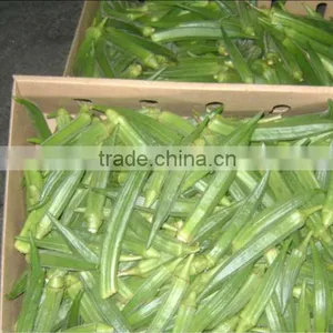 Fresh Okra thumbnail-1