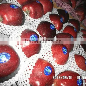 Wholesale Prices Apple Fruit thumbnail-1