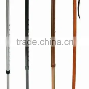 Walking Stick thumbnail-4