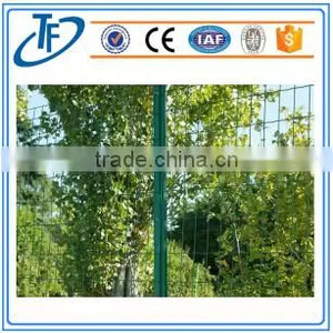 Holland Chicken Wire Mesh Fence thumbnail-4