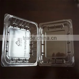 Small Clear Plastic Waxberry Packaging Box thumbnail-2