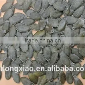 GWS Pumpkin Kernels Raw Cashew Nut Wholesale thumbnail-4
