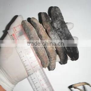 Dry Sea Cucumber Vietnam, Lolly Fish, Holothuria Atra thumbnail-4