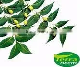 GUARANTEED NATURAL & PURE NEEM OIL thumbnail-1
