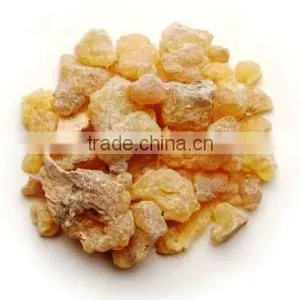 Frankincense Oil thumbnail-1