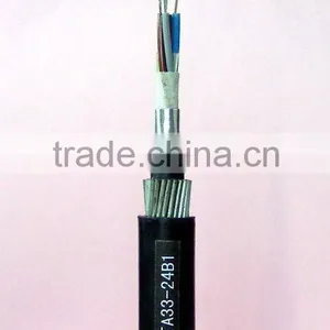 Fiber-optic Cable GYTA33-24B1.3 thumbnail-1