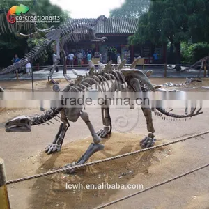 High Quality Dinosaur Skeleton Replica for Museum thumbnail-4