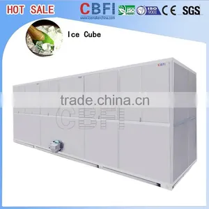 Big Ice Cube Plant thumbnail-1