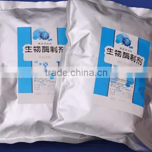 High Quality Bromelain Wholesale Organic Pineapple Extract Bromelain Powder thumbnail-6