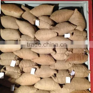 China Galangal Roots thumbnail-2