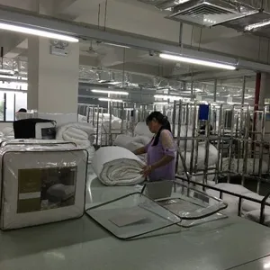 Hangzhou Paradise Import Export Co.,Ltd company overview - view 2 thumbnail